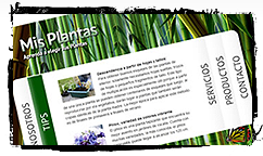 Mis Plantas