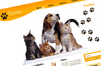 Desarrollo web, Patitas Veterinaria
